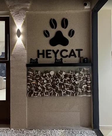 Le logo patte HEYCAT en relief sur un mur d'enduit texturé, éclairé par le haut, au-dessus d'une niche garnie de tasses en céramique.